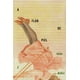 thumbnail image 1 of Libro A Flor De Piel Tapa Blanda, Autor Nora Muñiz, Editorial Dharma Books, 1 of 2