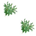 thumbnail image 3 of Bewildely 10 piezas de ramas de hojas artificiales, ramas de plantas de simulación, ceremonia de boda, Festival, accesorios de decoración interior para Verde 2piezas Bewildely CBP134024, 3 of 5