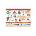 thumbnail image 1 of Póster Egipto I Educatodo B-5001-I, 1 of 2