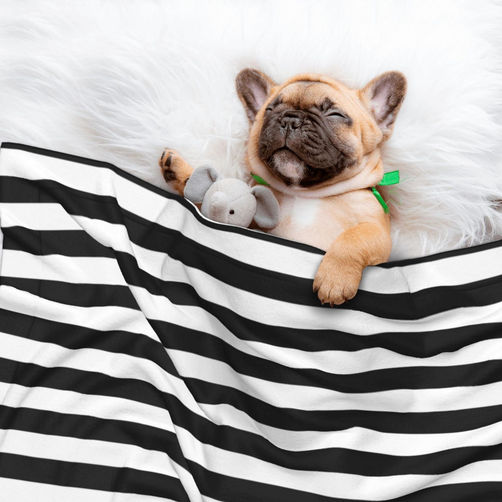Black And White Stripe Dog Blanket Soft Warm Flannel Cat Blanket Great Pet Throw for Cats Puppy Small Medium Large Dog