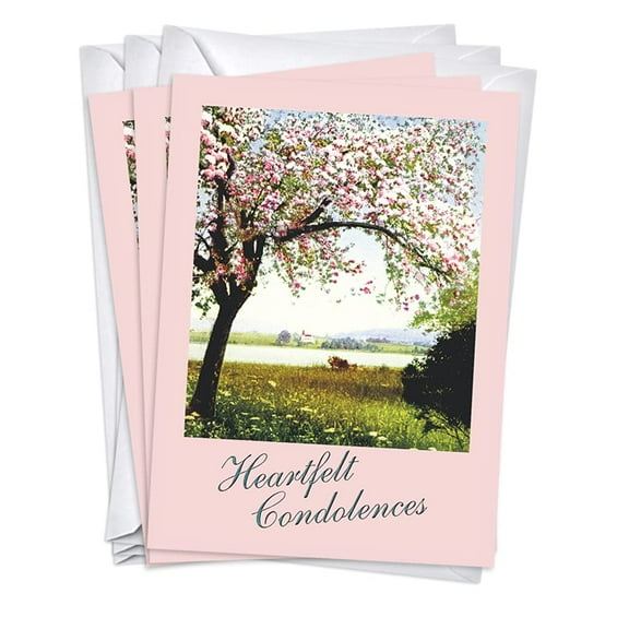 Cherry Blossoms Funeral Sympathy Condolence Greeting Cards | 3 Pack Set (5x7)