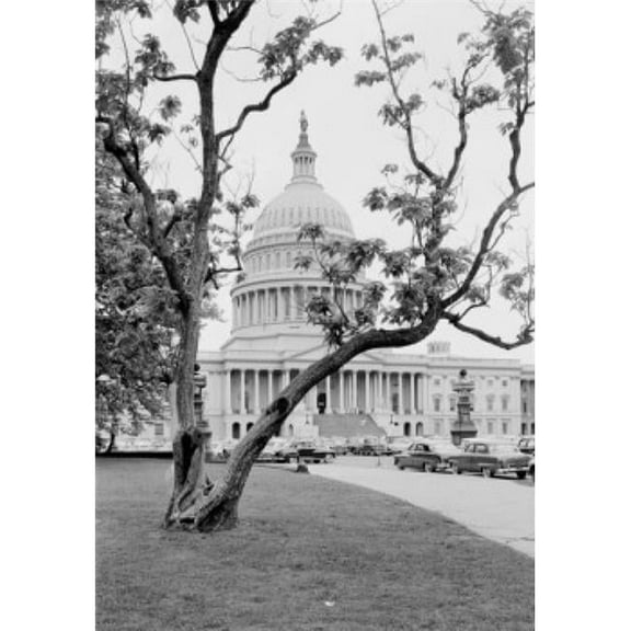 USA Washington DC US Capitol Building Poster Print - 18 x 24 in.