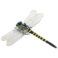 thumbnail image 3 of Dragonfly Modèle, Figurine Réaliste Dragonfly 12cm, Ornement Dragonfly, Figurine Dragonfly Sortie Haute Intensité, 3 of 7