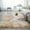 Khaki, variant on TIMIFIS Polyester Carpeting, Home Decor 5Ft X 8Ft Furry Area Rugs for Bedroom Living Room Unkempt Rug Decorative Rug for Indoor Home Floor Carpet