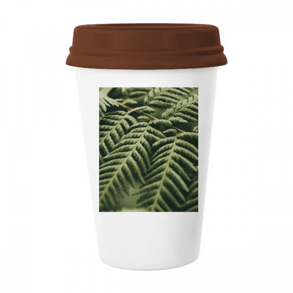 photography picture nature mug coffee drinking glass pottery cerac cup lid