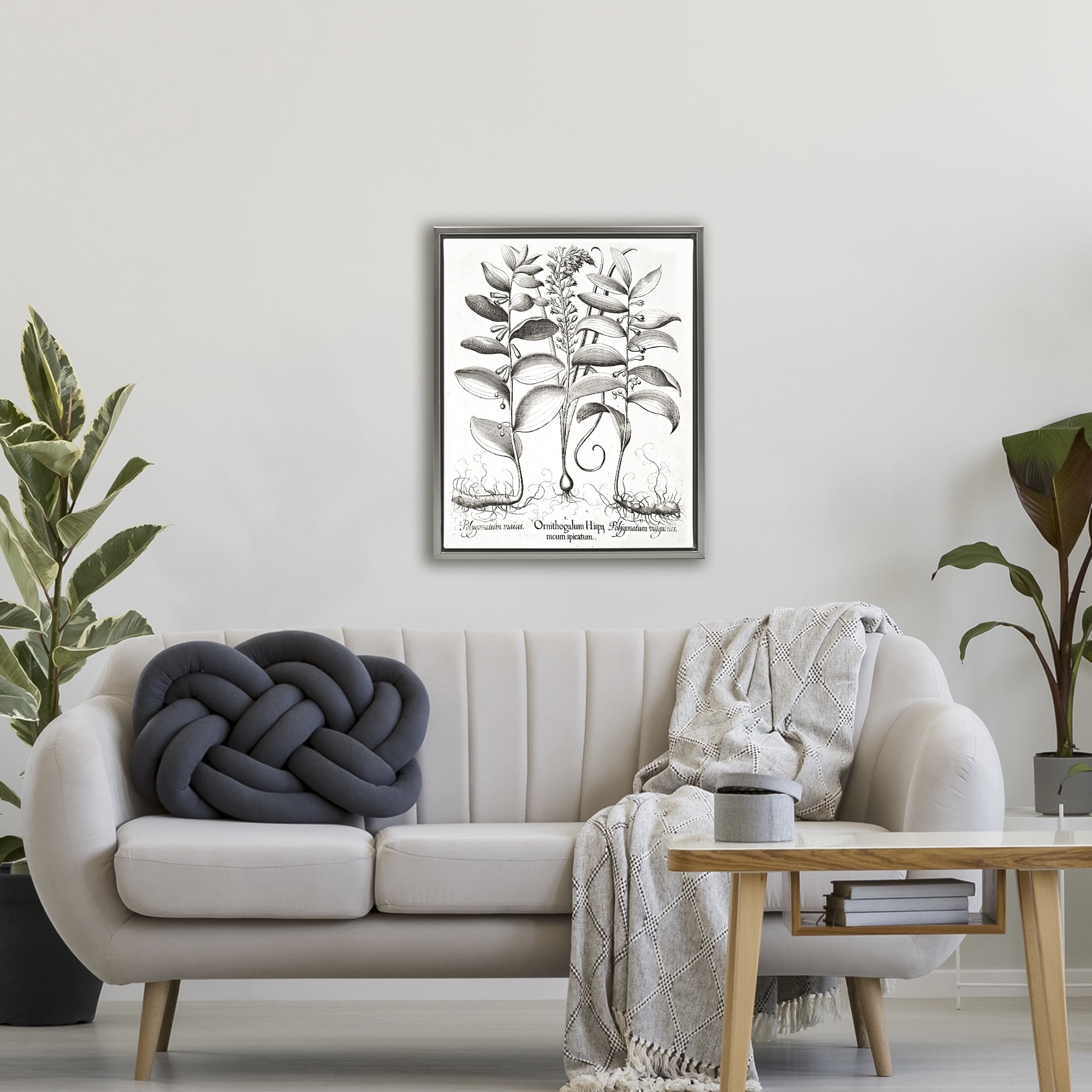 Vintage Botanical Root Study Gray Framed Floater Canvas Wall Art, design by Lettered and Lined