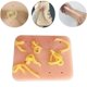 thumbnail image 3 of Innovative Cute Rectangular Pimple Squeezing Toys Stop Picking Your Face TPE Toys, 3 of 4