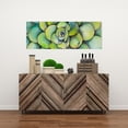 thumbnail image 2 of Plante Succulente Aquarelle - Toile 16"x48 Pouces - Impression sur Demande, 2 of 5