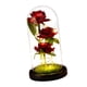 thumbnail image 1 of eterna Rosa en de cristal Arreglo floral de rosa de belleza para Valentín Cumpleaños de la madre Centro de mesa de Navidad Césped base negro Yuyangstore Rose in Dome, 1 of 6