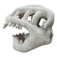 thumbnail image 5 of Máscara de esqueleto de dinosaurio para Halloween, accesorio para cosplay, máscara para adultos, sombrero, 5 of 5