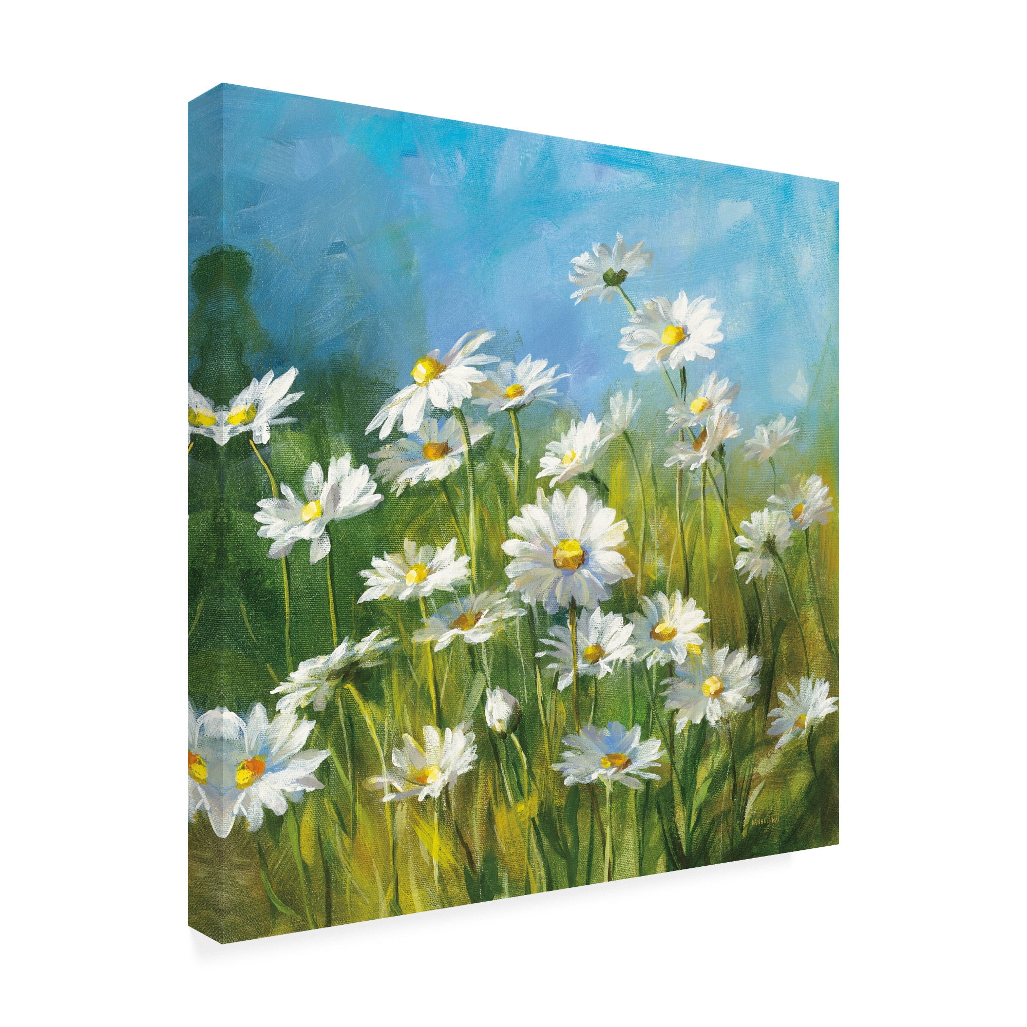 Trademark Fine Art 'Summer Field II' Canvas Art by Danhui Nai