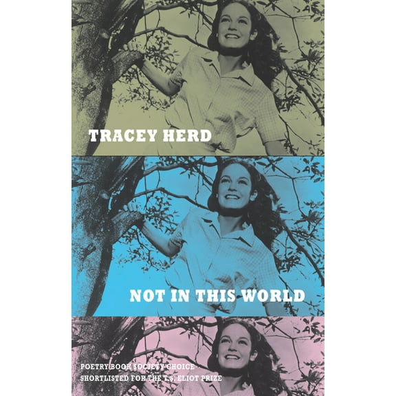 Not in This World (Paperback)