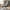 Gray, variant on Ninecer Big and Tall Office Chair 550 lbs, PU Leather Reclining Office Chair with Lumbar Support and Footrest, Modern Desk Chair for Adult, Gray