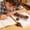 Brown-BW, variant on MMJ Eraser for Students Handy Classroom Stationery Clean Erase No Smudge Comfort Grip for Writing Study Office 4.33x1.30x0.79in