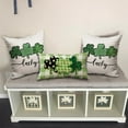 thumbnail image 2 of St Patricks Day Pillow Covers 20x20 Lucky Clover Throw Pillow Clover Cushion Case Decoration for Sofa Couch, 2 of 6