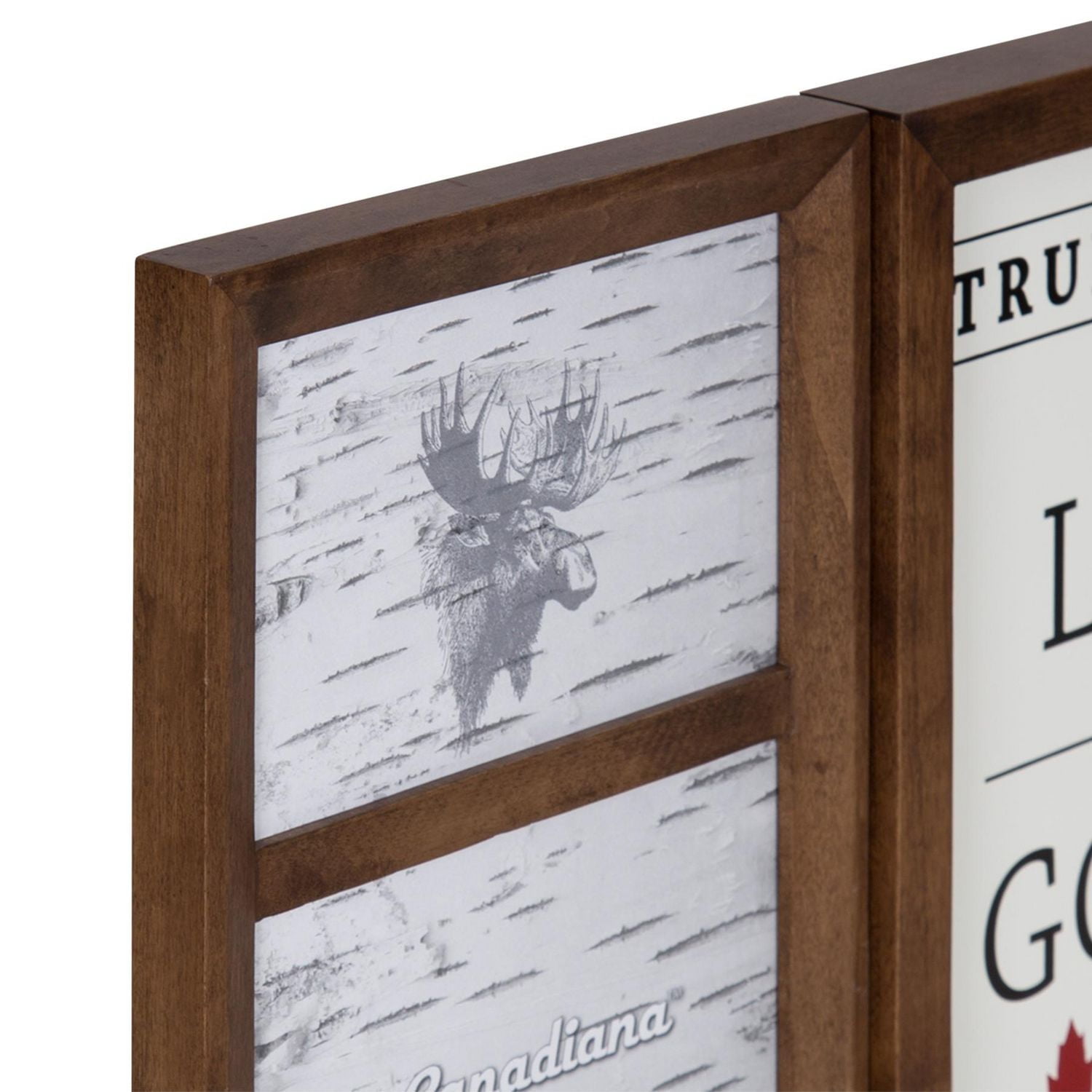 Canadiana Picture Frame Collage