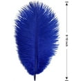 thumbnail image 2 of NOGIS 20 PCS Ostrich Feathers,Bulk Soft Natural Feathers for Crafts Centerpieces Party Wedding Home Decorations Dream Catchers Vases (Blue 8-10 Inch), 2 of 7