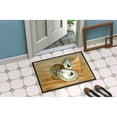 thumbnail image 4 of Carolines Treasures 8160-MAT Oyster Doormat 18x27 27"L x 18"W multicolor, 4 of 4