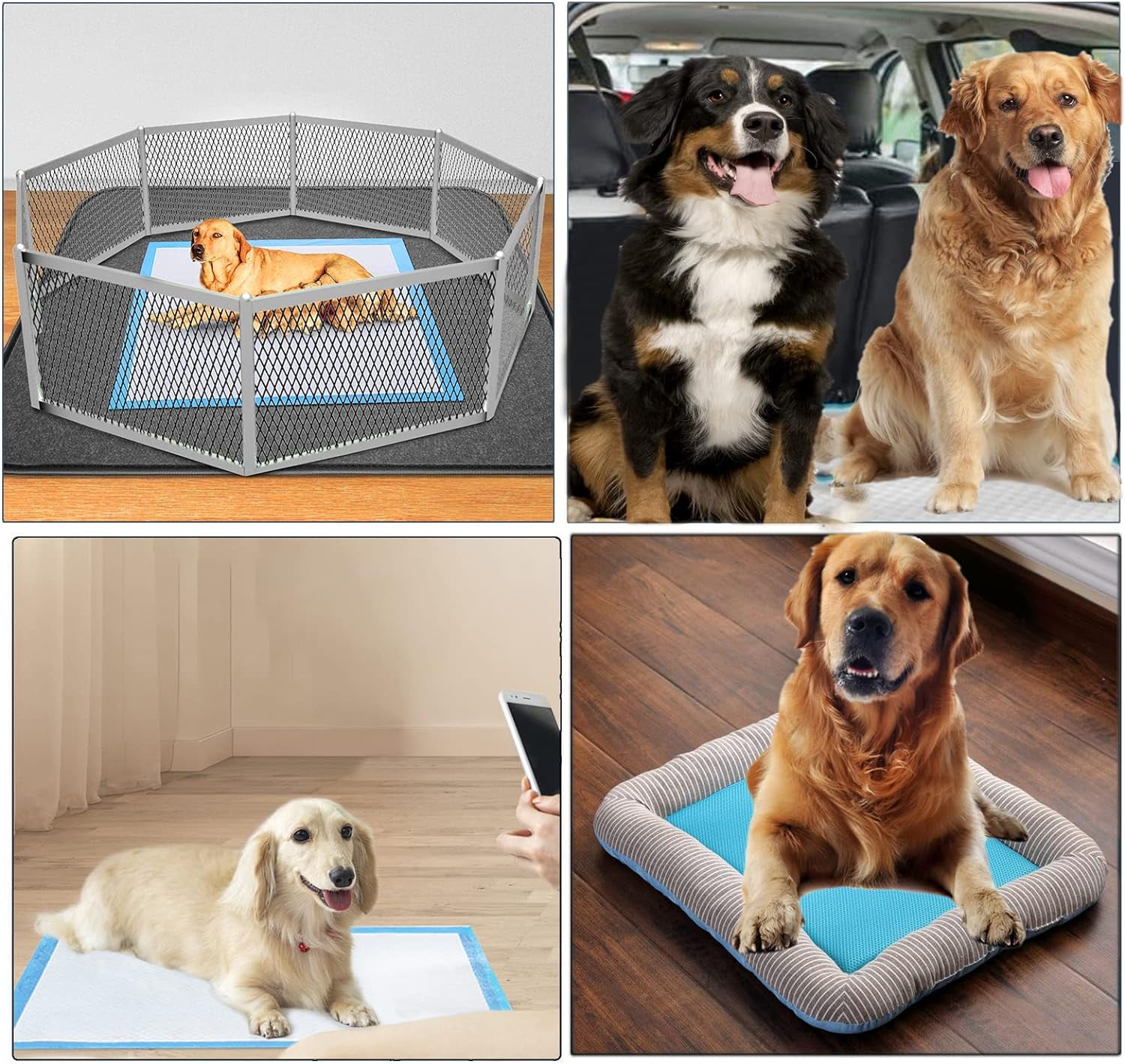 40 Count Dog Pee Pads Extra Large,36"x36"Pee Pads for Dogs Absorbent & Leak-Proof,Disposable Pet Training and Puppy Pads for Cats Dogs Rabbit