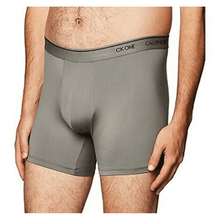 Calvin Klein Men's Underwear CK One Micro Boxer Briefs, Grey Sky, XS