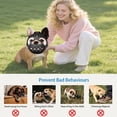 thumbnail image 4 of Short Snout Dog Muzzle for French Bulldog, Pug & Bulldog - Soft Breathable Mesh, Prevents Biting, Chewing & Licking, Adjustable Comfortable Fit for Small & Medium Brachycephalic Dogs, 4 of 7