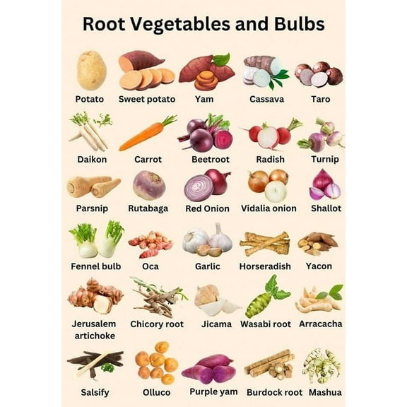 Root Vegetables and Bulbs Healthy nutrition checklist poster meal planning healthy cooking poster, wall decoration suitable for kitchen living room bedroom