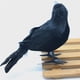 thumbnail image 4 of Modelo de cuervo negro de Halloween, simulación de pájaro falso, Animal aterrador, juguetes para vacaciones, fiesta de Halloween, decoración del hogar, accesorios de terror, 1pc, 4 of 4