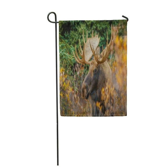 NUDECOR Green America Moose Bull in Denali Np Alaska Garden Flag Decorative Flag House Banner 28x40 inch