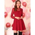 thumbnail image 3 of INSPIRE CHIC Women's Tie Neck Ruffled Mesh Long Sleeve Mini Dress, 3 of 6