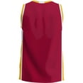 thumbnail image 3 of Men's GameDay Greats  Cardinal St. John Fisher Cardinals  Lightweight Basketball Jersey, 3 of 4