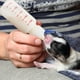 thumbnail image 2 of EeaseMX 4 biberones de 50 ml para mascotas, prácticos, para hámster, cachorro, ardilla, gatito, biberón de lactancia, alimentador de agua y leche., 2 of 8