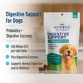 thumbnail image 3 of Nordic Naturals Pet Digestive Support with Probiotics, Bone Broth Flavor - 30 Soft Chews, 3 of 8