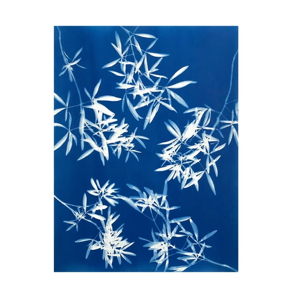 Canvas Wall Art - Christine So 'Light through Leaves 1' Wall Art for Living Room, Bedroom, or Office Décor by Trademark Fine Art - 14 x 19 Inches