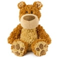 thumbnail image 1 of Peluche con forma de oso de peluche GUND Bexley Brown de 30 cm para más de 1 año, 1 of 9