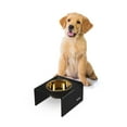 thumbnail image 3 of THE LICKER STORE Keaton 5" Small/Medium Modern Acrylic Rectangular Elevated Pet Feeder with 20oz 1-Stainless Steel Bowl, Black/Gold, DBL2002B, 3 of 7