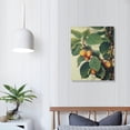 thumbnail image 4 of ONETECH  Hazelnut Tree Redouté Botanical Tin Signs. 1986 Vintage Botanical Art, Fruit Poster, Fruit Gifts Nuts Funny Wall Art Pub Bar Kitchen Garden Bathroom Home Decor, 4 of 5
