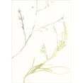 thumbnail image 3 of Goldberger, Jennifer 11x14 Black Modern Framed Museum Art Print Titled - Under Sea Forest IX, 3 of 5