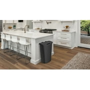 Mainstays Kitchen Trash Can, 11 Gallon Plastic Garbage Bin with Lift Top Lid, Black