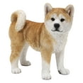 thumbnail image 2 of Hi-Line Gift 87790-C Akita Dog Standing Statue, 2 of 7