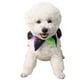 thumbnail image 4 of 2 piezas delicadas Hermosa mascota de Halloween Collar de cuello para PET Party Size S (Negro + Green + Purple), 4 of 6