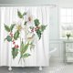 thumbnail image 1 of Cortina de Ducha ABPHQTO Objeto Acuarela Flores Eléboro 150x180 cm, 1 of 1