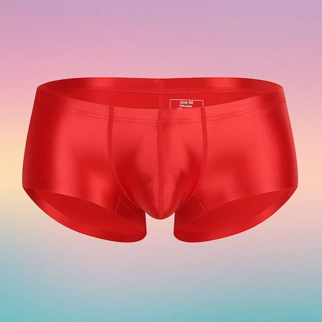 Men's Underwear Breathable Sheer Shiny Low Rise Briefs for Daily Wear Soft Comfort Everyday Lightweight Everyday Briefs