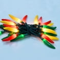 thumbnail image 3 of Guirnalda de Luces SUNSGNE Pimientos Picantes 4,1 m 35 Bombillas Incandescentes Multicolor, 3 of 6