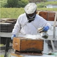 thumbnail image 2 of Outils d'Apiculture Fumoir Manuel Mini Buse en Acier Inoxydable Éjecteur de Fumée Fournitures d'Apiculture pour Usage Apicole (Argent), 2 of 8