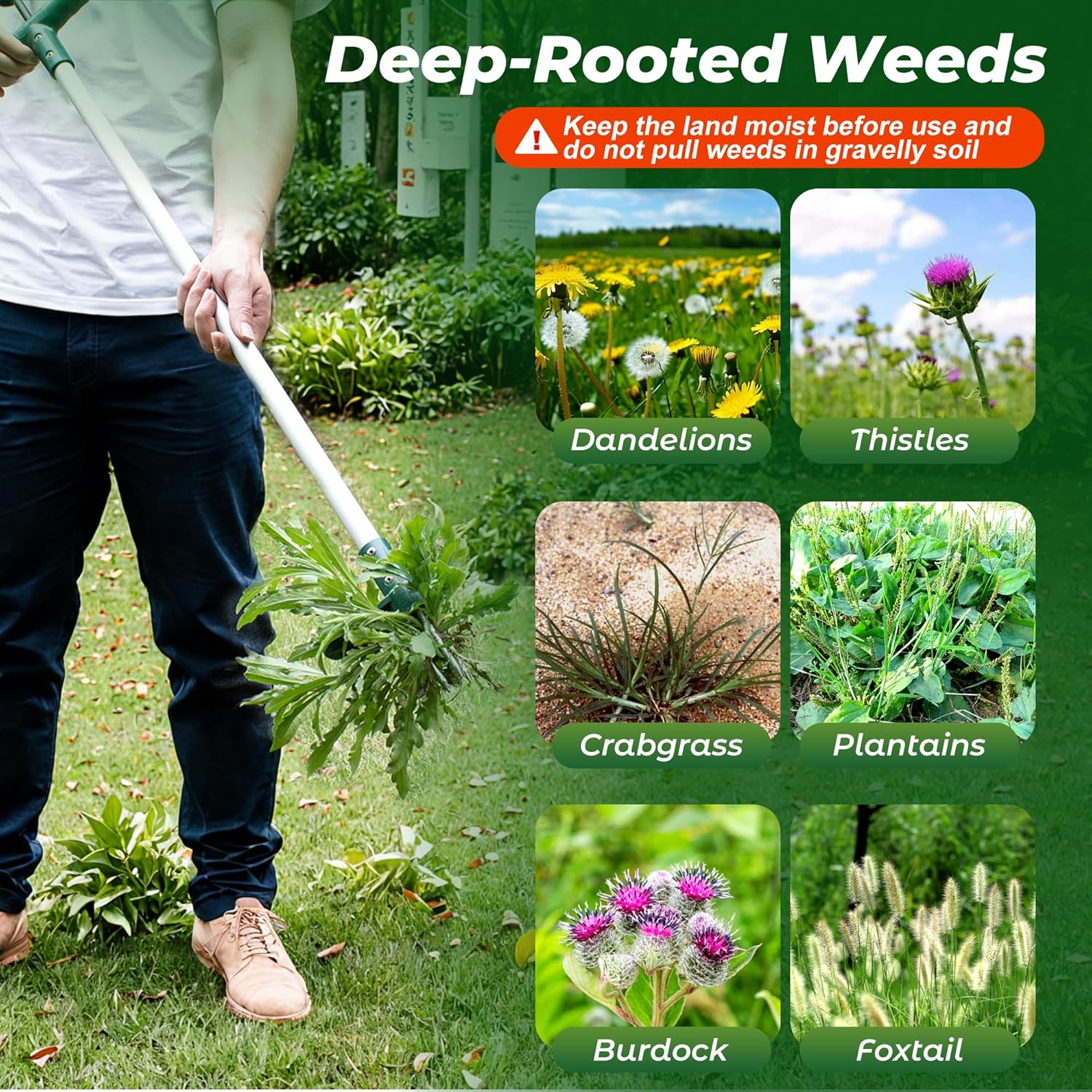 Walensee Stand-Up Weed Puller with 3-Claw Design photo 5