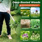 Walensee Weed Puller with 3 Claws, Stand Up Weeder for Dandelion