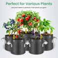 thumbnail image 3 of Bolsas para Cultivo de Plantas InfiniPower 10 Galones Paquete de 5 con Asas, 3 of 7