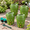 Green-4-Pack, variant on Tan 4-Pack Inground Mini Worm Composting Bin For Garden Bed Food Waste