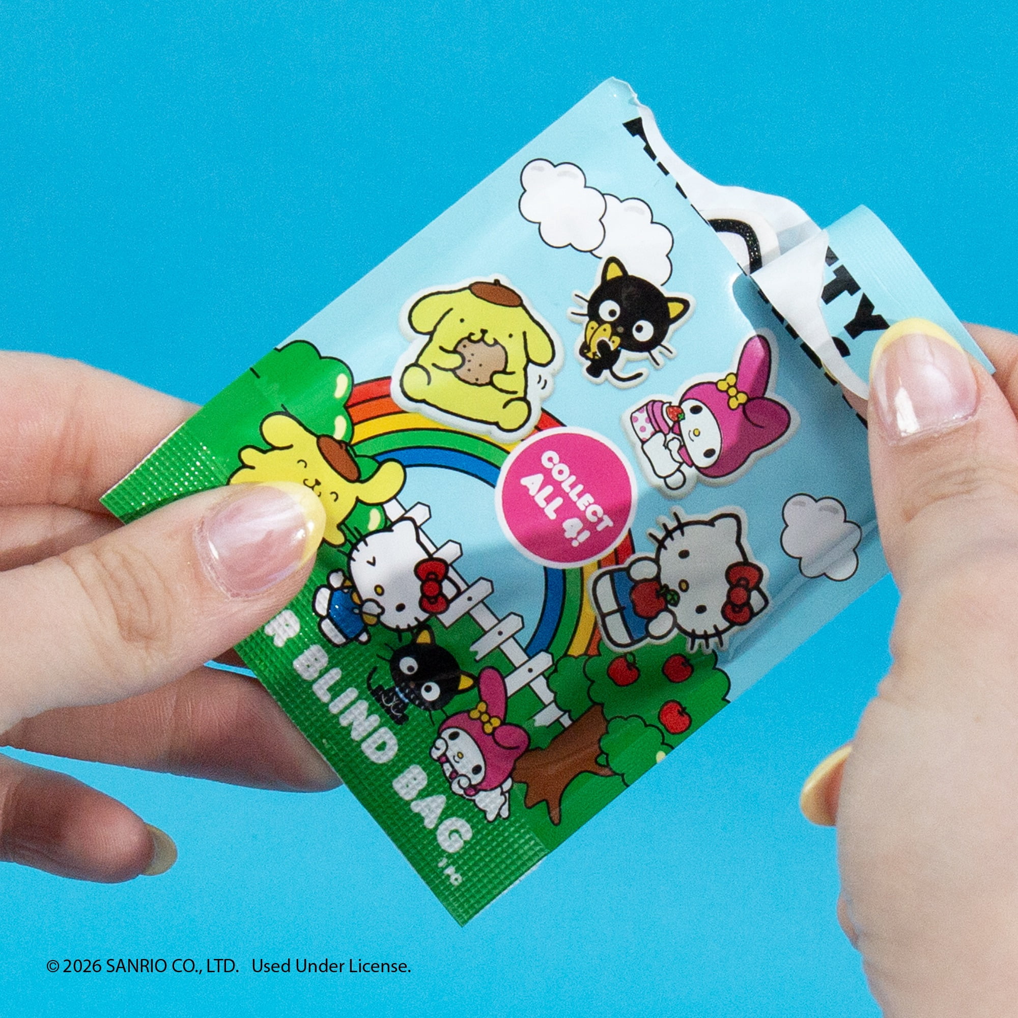 Hello Kitty® and Friends Eraser Blind Bag - Mystery Collectible Erasers