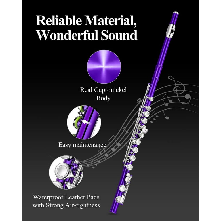 Eastar 16 Key C Flute, Closed Hole, Beginner Musical
